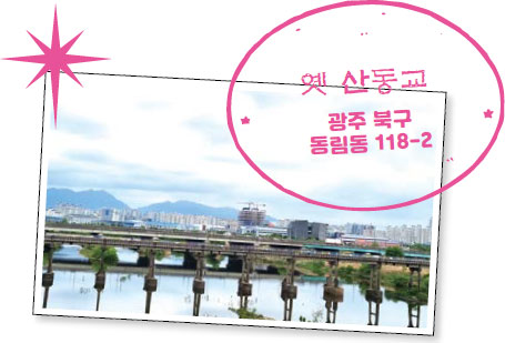 기자단